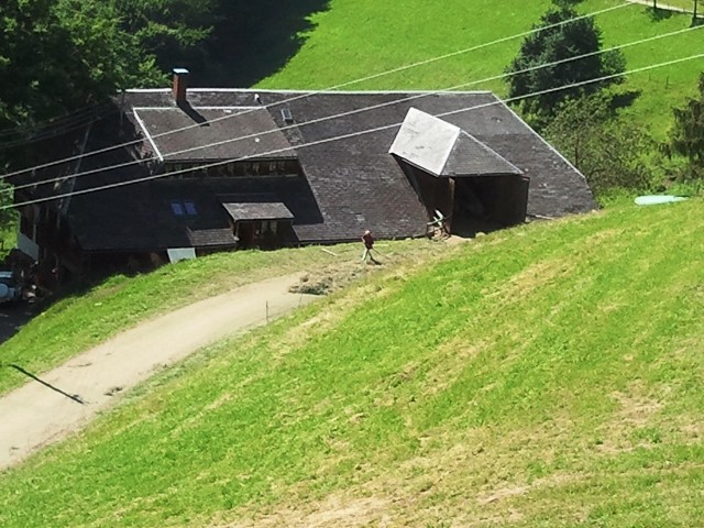 Unsere Sänger packen an: auch Fredy, Günter und Robert helfen