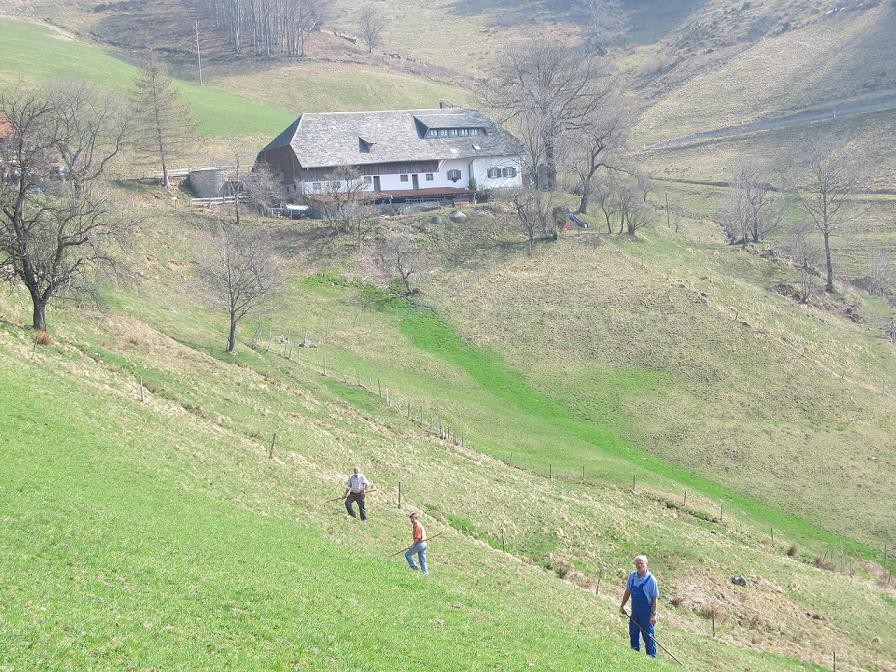 Auf dem Milchmattenhof