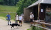 Auf dem Milchmattenhof (thumbnail)