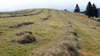 Heuen auf über 1000m Höhe (thumbnail)