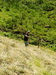 Günter (thumbnail)