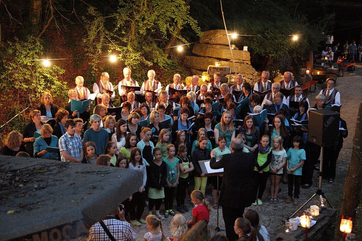 Serenadenkonzert '13