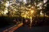 Toller Sonnenuntergang über Pfaffenweiler (thumbnail)